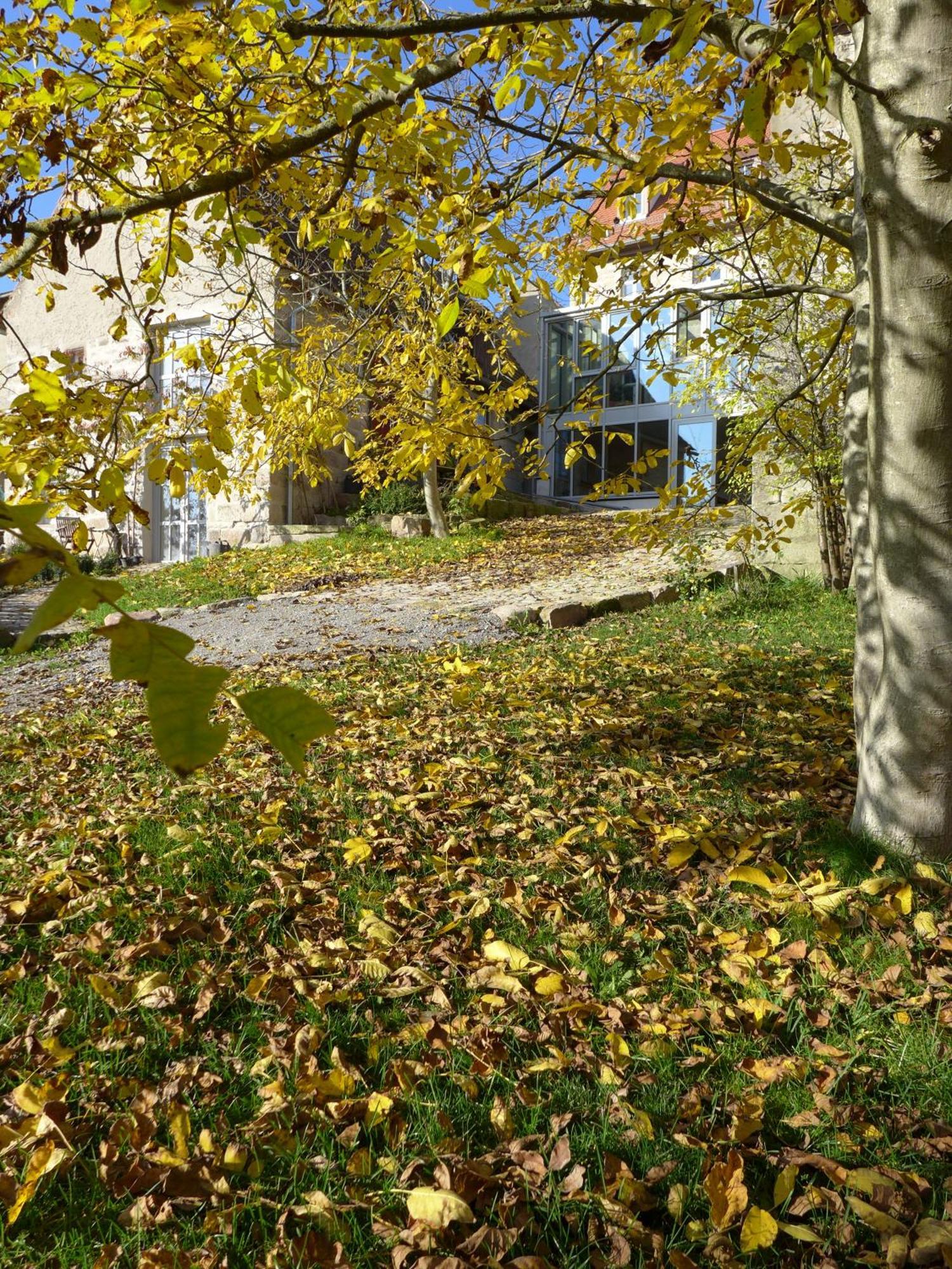 Nussanger Apartment